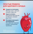 Что вредит сердцу, а что помогает сохранить его здоровым?