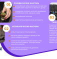 17 сентября 2026 г. - Всемирный день безопасности пациентов